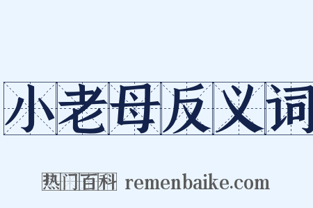 小老母反义词是什么意思的图片